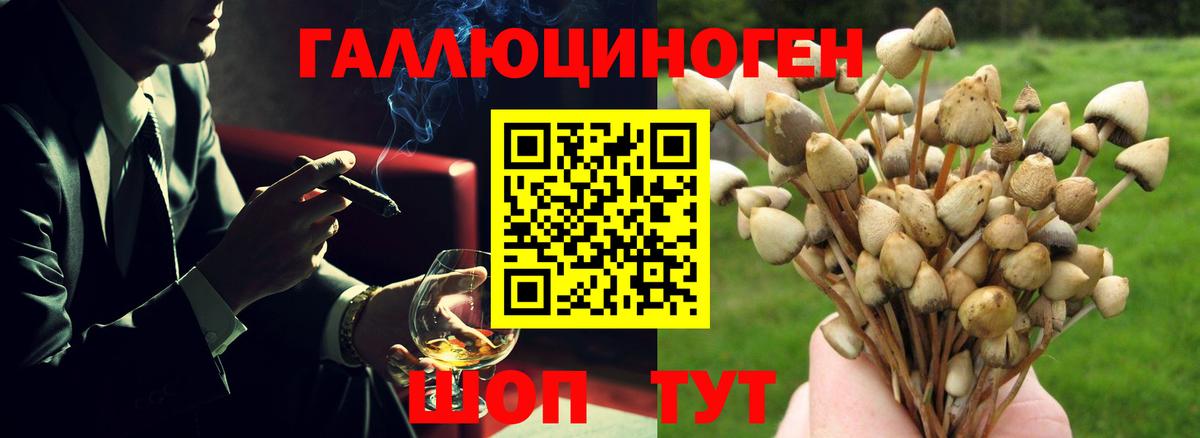 Галлюциногенные грибы Cubensis Азов