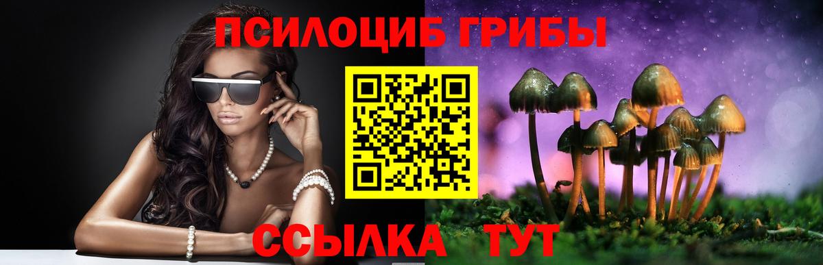 Азов  наркота  Вход с VPN  Псилоцибиновые грибы прущие грибы 